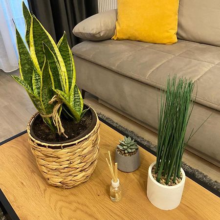 Mirage Sunset Mamaia Apartman Kültér fotó